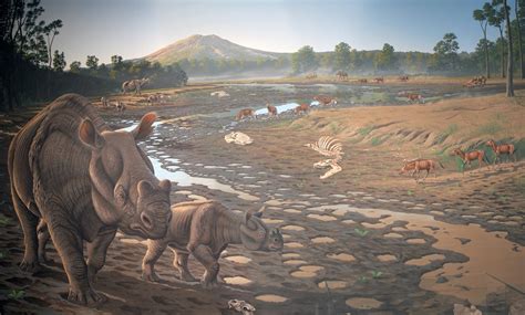 Hancock Mammal Quarry - John Day Fossil Beds National Monument (U.S ...