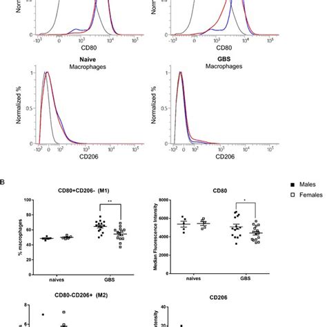 Sex Based Analysis Of M1 And M2 Polarization Markers On Macrophages At