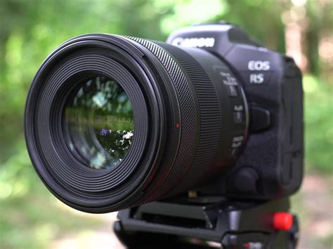 Canon Rf Mm F Macro Review Cameralabs