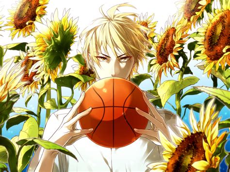 Обои Kaijou парень Kuroko No Basket баскетбол куроко Ryouta мяч