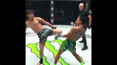 counters  championship  home  martial arts