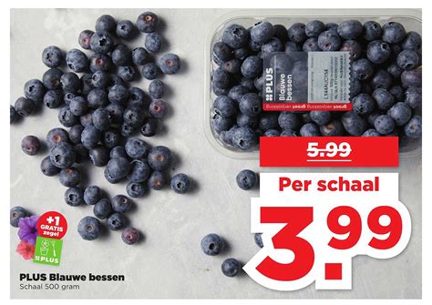 Plus Blauwe Bessen Aanbieding Bij Plus Folders Nl