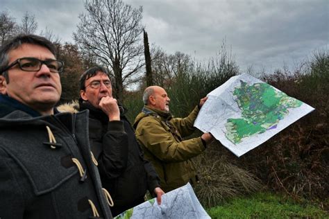 Rosmarinonews it Paesaggi Rurali Salgono a 5 le Città dell Olio