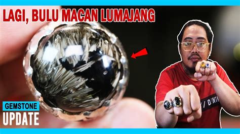 Gemstones Update Batu Bulu Macan Lumajang Ruby Burma Blue