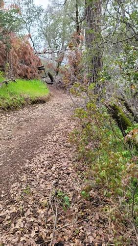 Best Camping Trails In Sonora Alltrails