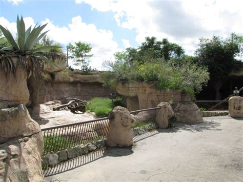 Gladys Porter Zoo Bear Exhibit