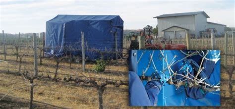 Robotic Pruning Good Fruit Grower