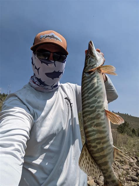 My First Tiger Muskie Rfishing