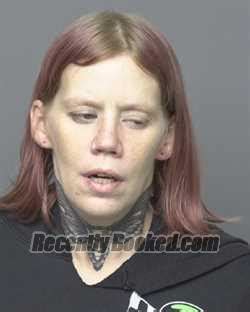 Recent Booking Mugshot For NANCY JO MEISENBURG In Dubuque County Iowa