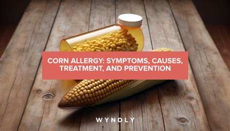 Corn Allergy: Symptoms, Causes & Treatment (2024) & Wyndly