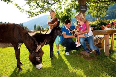 Kuschelh Tten Erlebnisbauernhof Pronebengut Hochk Nig M Hlbach