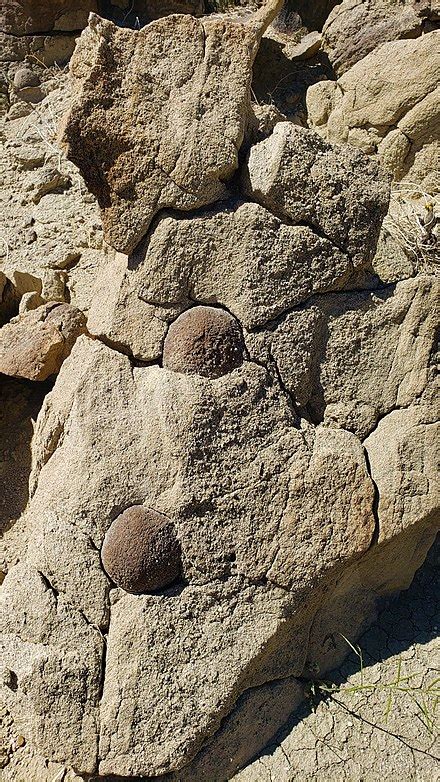 Concretion Wikiwand