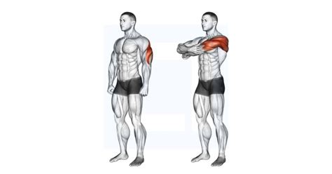 Barbell Lying Triceps Extension Guide Benefits And Form