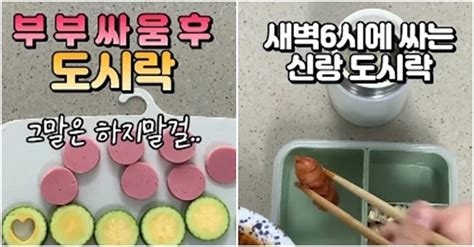 노예냐 평생 시녀처럼 살아라맞벌이 남편 도시락 싸주는 유튜버 시끌 Snsfeed 제휴콘텐츠 제공 실시간 핫이슈