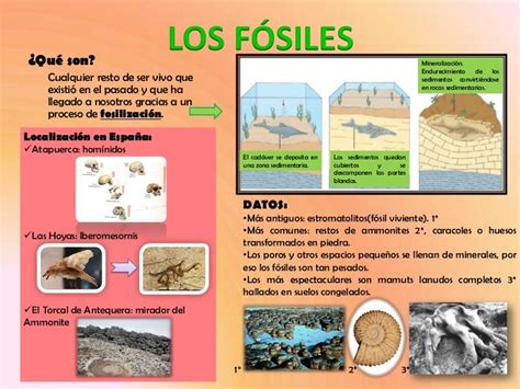 Póster Los Fósiles