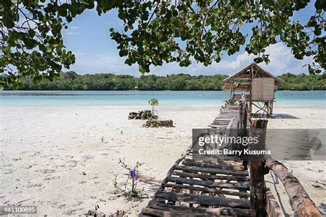 Wakatobi Photos and Premium High Res Pictures - Getty Images