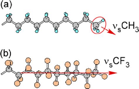 Schematic Image Of A Normal Mode Of A N S Ch 3 And B N S Cf 3 A