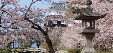 Omura Flower Festival Events Discover Nagasaki Official Visitor