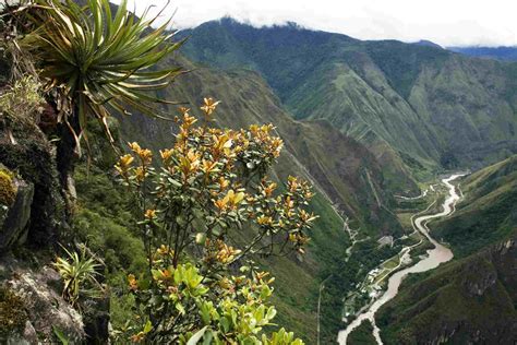 The 10 Longest Rivers in Peru