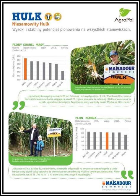 Kukurydza HULK Kiszonkowy Gigant Nasiona Kukurydzy MAS Kiszonka