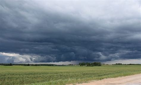 Renuevan El Alerta Meteorológico Por Tormentas Intensas Agrofy News