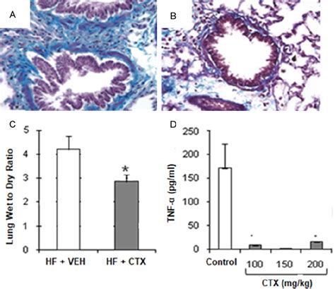 The Effects Of Neutrophil Depletion With Cyclophosphamide CTX A And