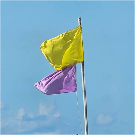 Beach Flags Gulf Shores And Orange Beach Gulf Coast Journeys