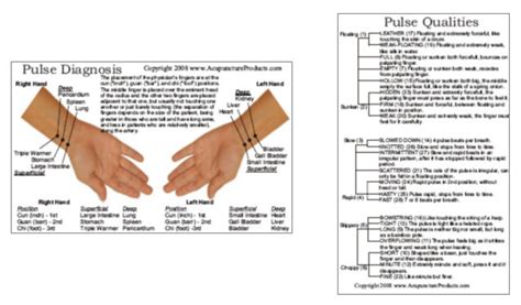 Pulse Diagnosis Acupuncture Card Clinical Charts And Supplies