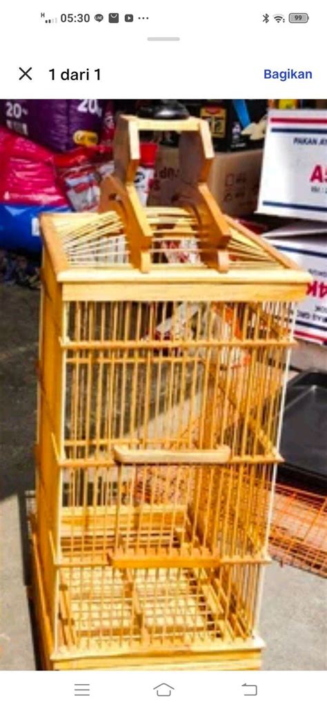 Sangkar Kandang Kayu Untuk Burung Plecy Ciblek Konin Dll Lazada Indonesia