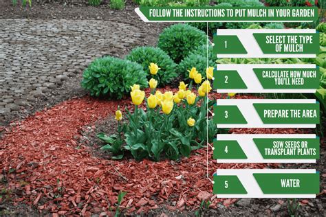 How To Garden With Mulch [Step-By-Step Guide]