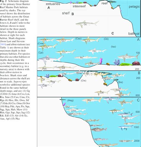 Schematic Diagram Of The Primary Great Barrier Reef Marine Park Download Scientific Diagram