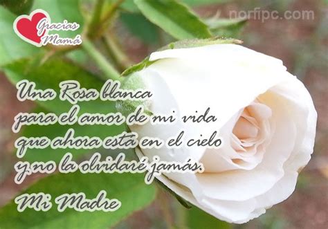 Top Imagen Madre Muerta Frases Para Una Madre Fallecida En Su