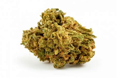 Super Lemon Haze Scottie Strains