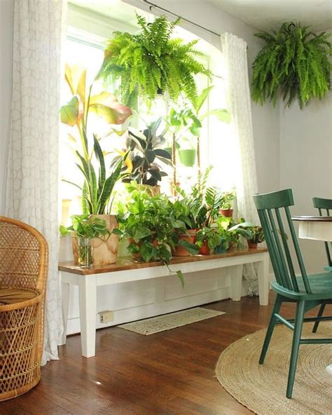 Lovely Window Design Ideas With Plants That Make Your Home Cozy