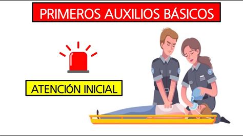 Primeros Auxilios B Sicos Y Avanzados Evaluaci N De La Escena Youtube