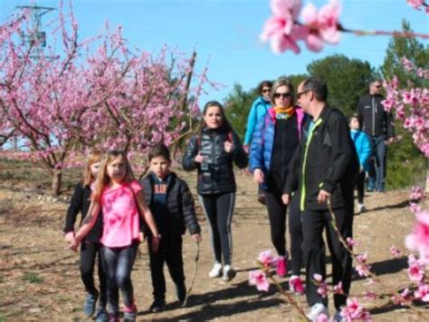 Marche Solidaire D Aitona Fruiturisme