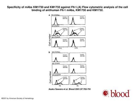 Flt 1 Vascular Endothelial Growth Factor Receptor 1 Is A Novel Cell