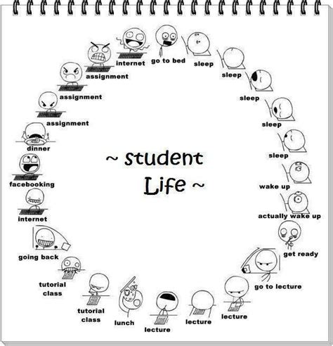 Funny Student Quotes. QuotesGram