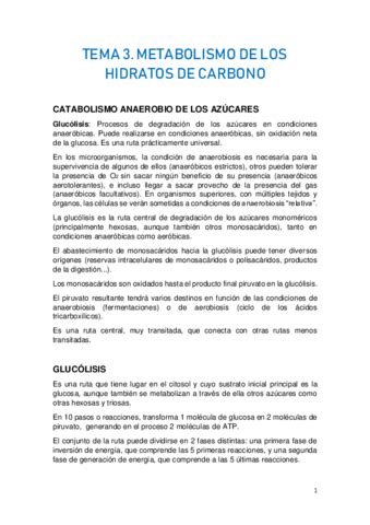 Tema Metabolismo De Los Hidratos De Carbono Pdf