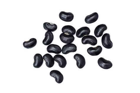 Black Bean Seeds Stock Photos Pictures And Royalty Free Images Istock