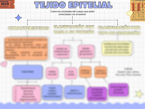 Solution Tejido Epitelial Mapa Conceptual Studypool The Best Porn Website