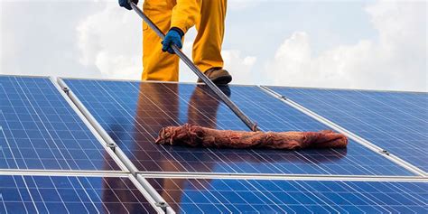 Solar Panel Maintenance And Diy Cleaning Tips Greentumble