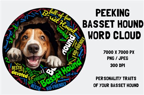Peeking Basset Hound Word Cloud Graphic By Dogsassy Designs · Creative