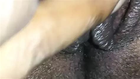 Free Pussy Solo Porn Videos Xhamster