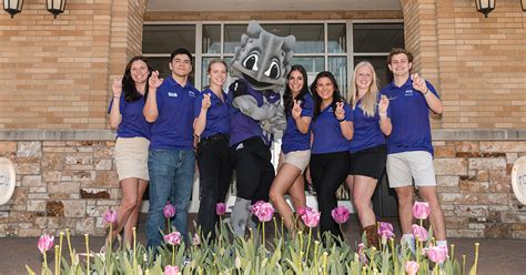 staff directory tcu office  admission