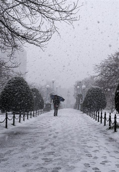 A few shots from yesterday’s snow storm in Boston : r/SonyAlpha