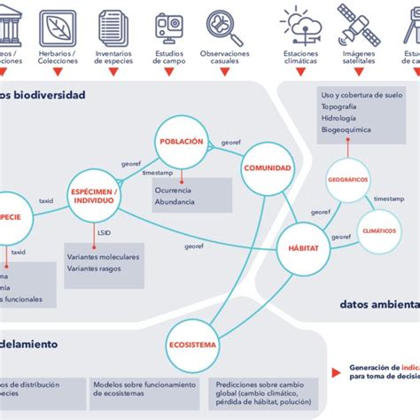 Fuentes De Datos Biodiversidad Fuentes De Datos Ambientales Download Scientific Diagram