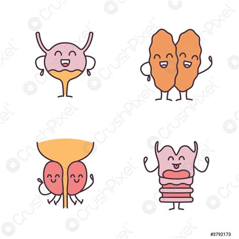 Smiling Human Internal Organs Characters Color Icons Set Stock Vector