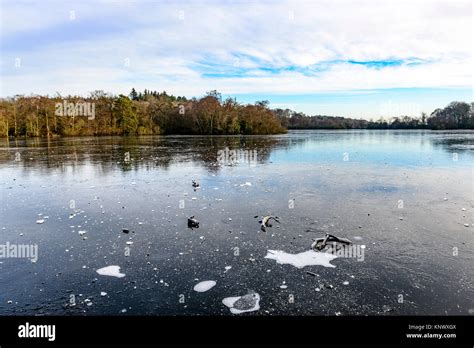 Winter Scene Bolam Lake Country Park Northumberland Uk Stock Photo