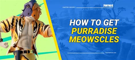 Fortnite How To Get Purradise Meowscles In Chapter 4 Season 3